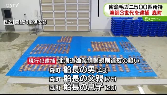 【画像】北海道で毛ガニの密猟、証拠品のカニをブルーシートに並べる