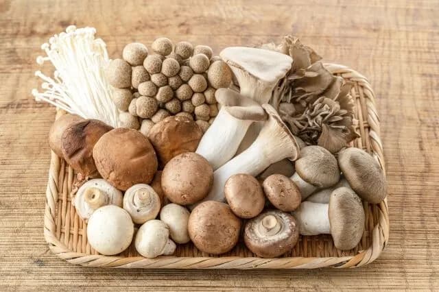 きのこ界のMVPといえば