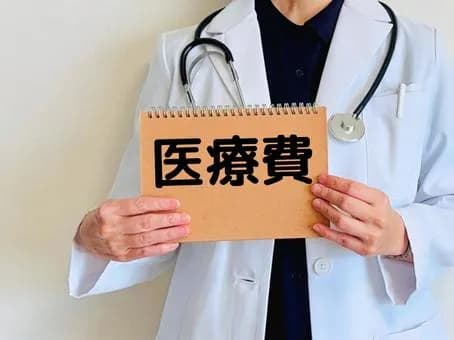 【疑問】減税派「とにかく減税しろ！」←医療費45兆円の財源はどうすんねん・・・・・