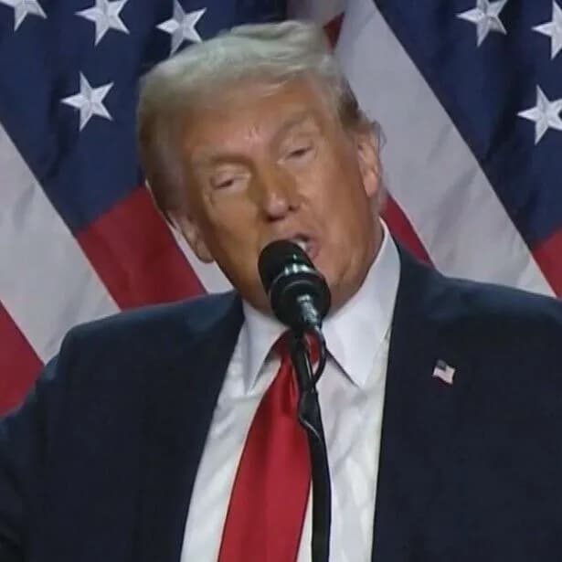 トランプ「移民は強制送還する」ミャンマー移民「まぁ自国になら」トランプ「南スーダンな」