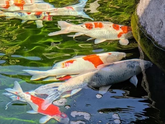 【急募】経験上、辞めておいた方がいい職場の特徴ｗｗｗｗｗｗｗ