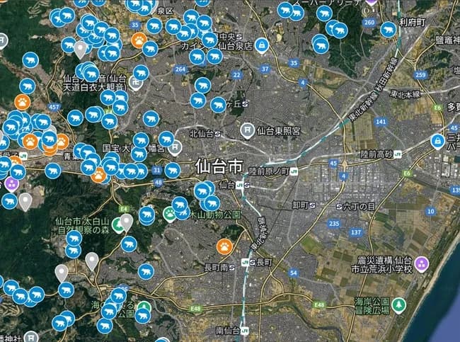 【悲報】クマの目撃情報、ガチでやばいことになるｗｗｗｗｗｗｗｗ