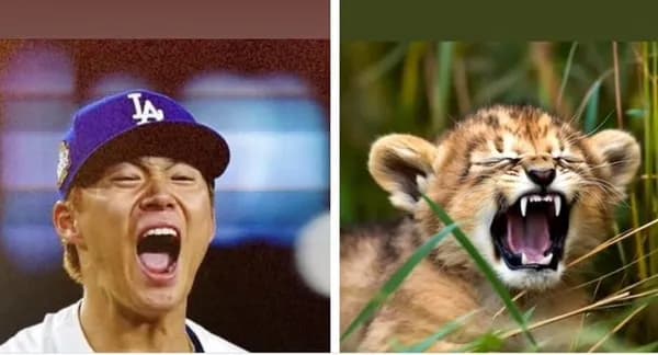 ダルビッシュ有、39歳の誕生日　挨拶に行く山本由伸（26）と佐々木朗希（23）