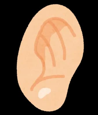 ワイ「ゴクッ(唾を飲み込む)」 耳穴の奥「ガサッ(耳くそが動く音)」