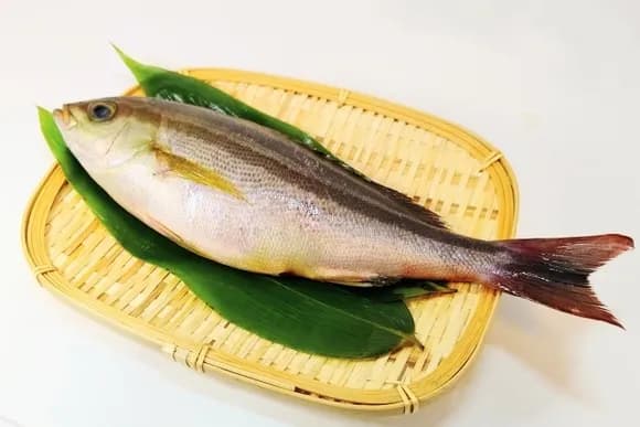 【朗報】マジでイサキって美味すぎないか？ｗｗｗｗｗｗｗｗｗｗ