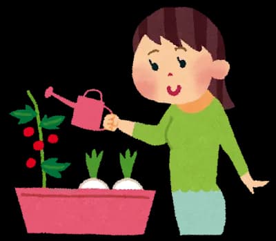 ワイんちで採れた野菜見て〓