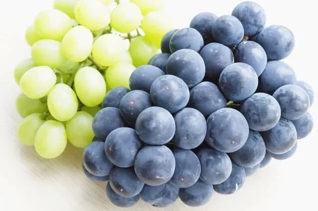 種無しブドウとかいう人間の業の産物