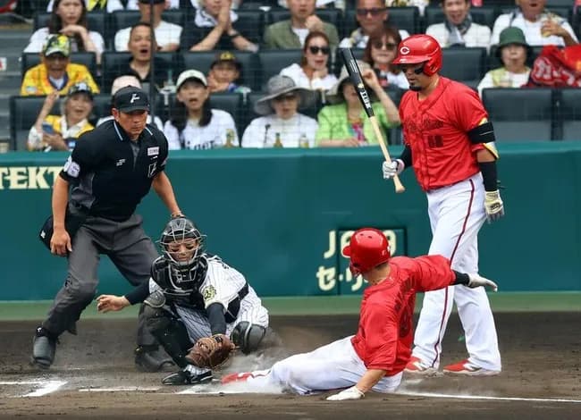 中村奨成がホームスチール敢行も…間一髪でアウト　ベンチの新井監督は拍手　甲子園のスタンドがどよめく