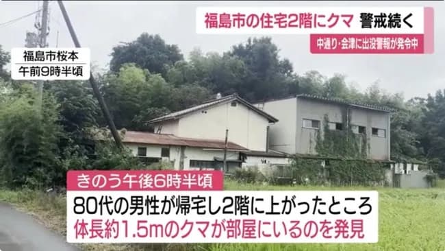 【悲報】クマさん、住宅の2階に出没🐻