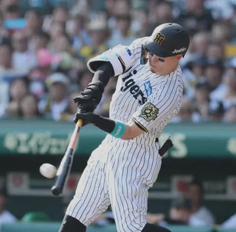 【野球】今年もホームラン数が激減した理由は明らか　飛ばなすぎるボール　日本は「MLBと比べても相当低い」　小林至氏が解説