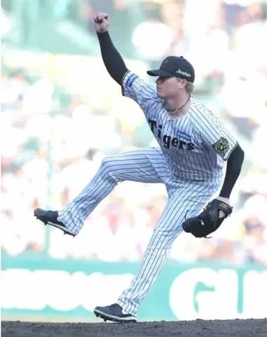 阪神・ネルソン「今のポジションは光栄」　勝ちパターンの一角で好投続く