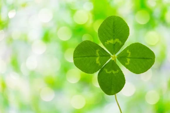 【唖然】「運のおかげ」と認められない奴ら、努力や才能にすり替えてて草