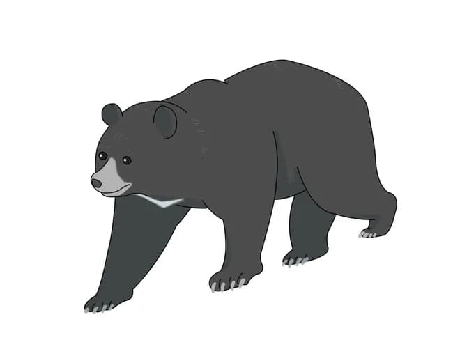 【悲報】熊、正面突破。村役場の正面玄関自動ドアから侵入