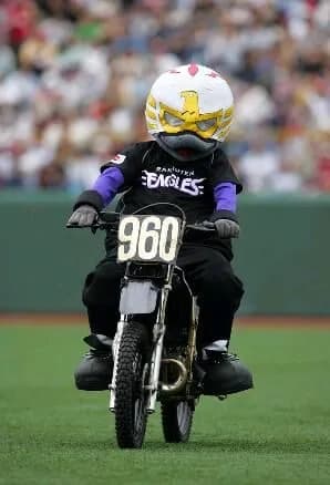 人知れず消えて行った球団マスコット