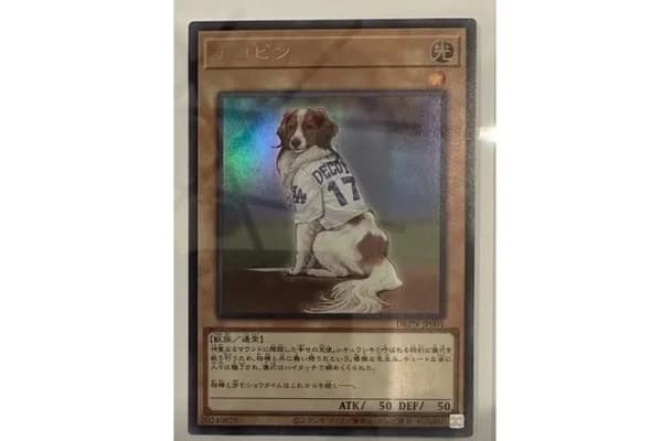 大谷翔平の飼い犬デコピン、遊戯王カードになってしまうｗｗｗｗｗｗ