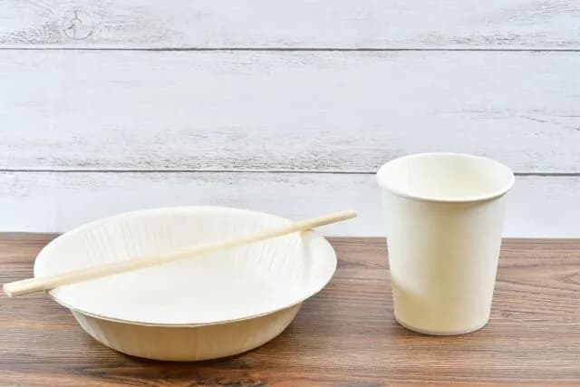 三大一人暮らしにありがちなこと「紙コップを使う」「紙皿を使う」「割り箸を使う」