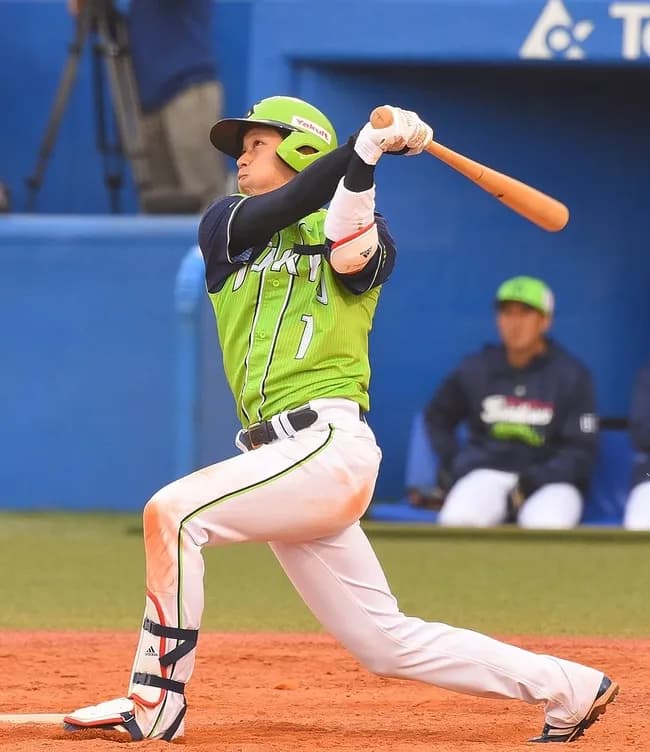 山田哲人が最後に3割を打った年wwwww