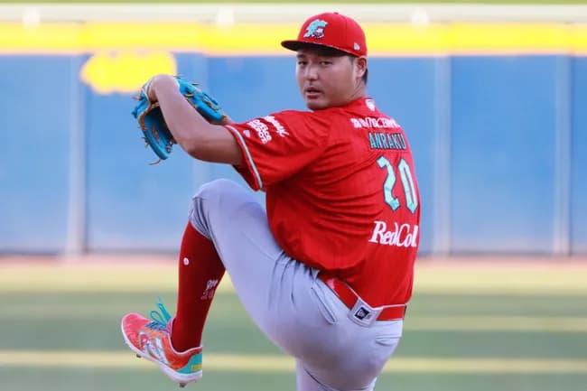 レッドデビル安楽智大（28）47登板 1勝2敗22s 防2.98　←いらない？