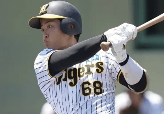 中川勇人(神)率.182 1本 1打点 OPS.568　←　これwwwwwww