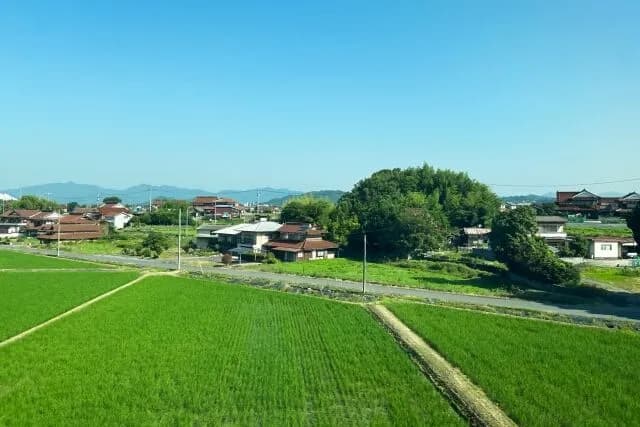 田舎民しか分からんこと