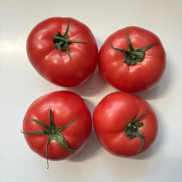 トマト嫌いなやつ一定数おるけど