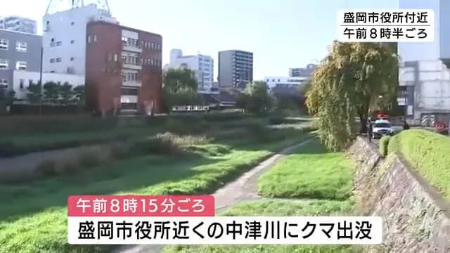 盛岡市役所近くにクマ、　盛岡城跡公園にも出没　住宅地に入り込む　警察や市が警戒　岩手県内でクマの出没相次ぐ