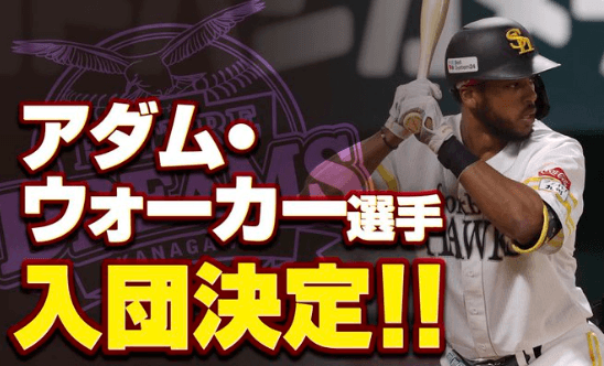 BC神奈川、元巨人・ホークスのアダム・ウォーカー選手の入団を発表！