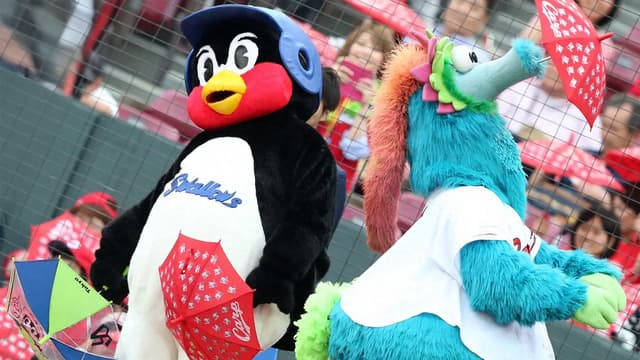 カープvsヤクルト戦は雨天中止。ハーン＆遠藤が合流