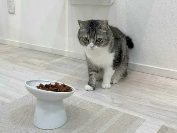 【悲報】もちまる日記、週刊誌に狙われだすｗｗｗｗｗｗｗｗｗ