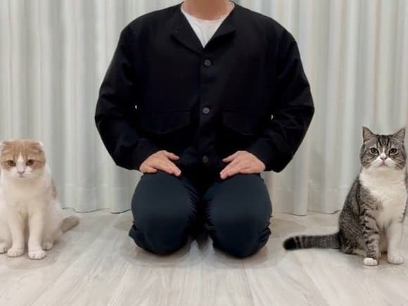 【悲報】もちまる日記さん、活動再開したのに登録者が激減…何が起きた？