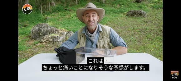 【悲報】外国人YouTuber、再生数欲しさにニホンスズメバチに刺されまくってしまう・・・