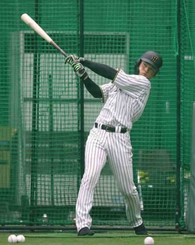 阪神・高寺が1軍登録外れる　オープン戦打率・290もシーズンでは無安打