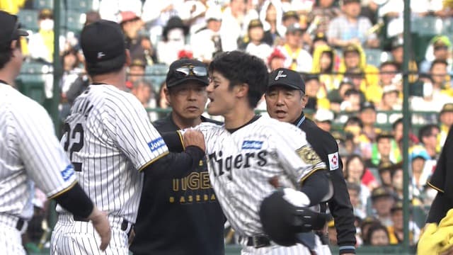 藤川監督、頭部死球にブチ川キレ児ｗｗｗｗｗｗｗｗｗｗ