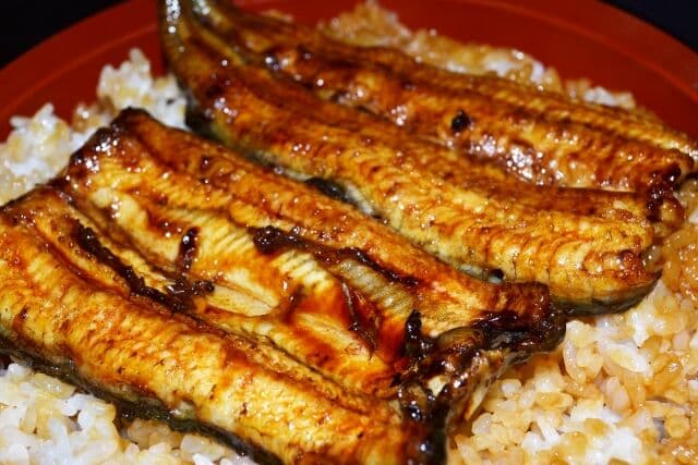 うなぎって本当に美味しいのかちょっと疑問なとこあるよな
