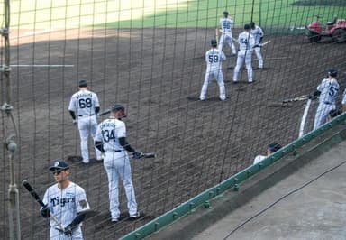 阪神二軍、惨敗したので野手全員居残り素振り