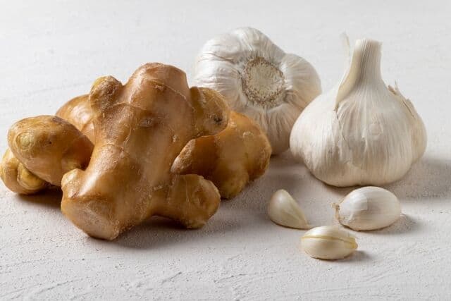 ニンニクvsショウガという野菜界最大のライバル