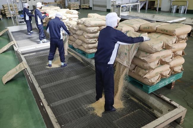 備蓄米が流通しない理由、「袋詰が追いつかない」だけだった