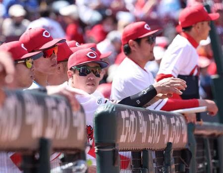 【悲報】新井監督「小園は戦う姿をしていないから外した」