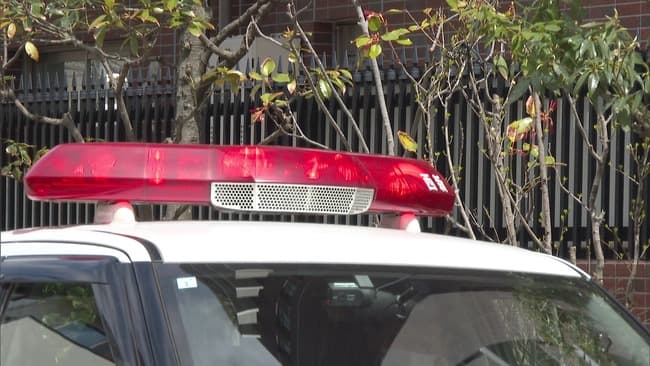 28歳女、タクシー料金請求され「それがどうした」と運転手暴行し逮捕。取り調べに「もういいよどうでも