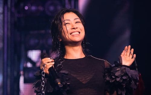 宇多田ヒカル、終わる