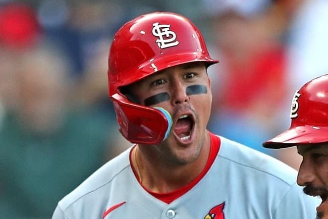 ラーズ・達治・ヌートバー(27) .263 4本 17打点 出塁率.402 超打率.424 OPS.826←正直な感想