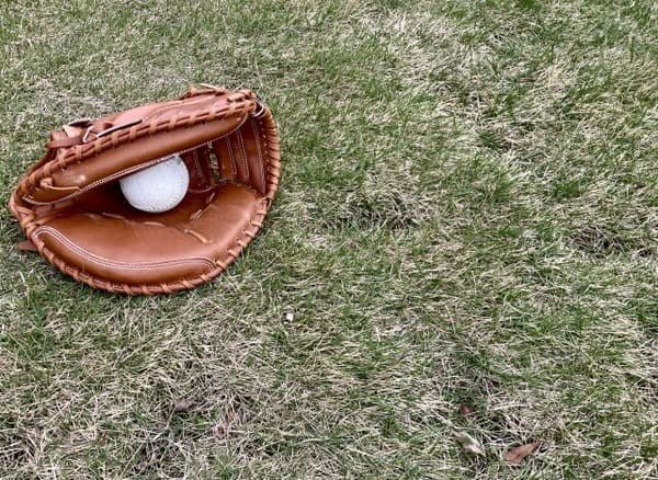 プロ野球選手の最下層でも学生時代は地元で化け物扱いだったという事実