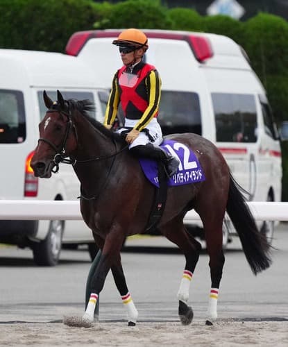 3冠牝馬・リバティアイランド、予後不良で安楽死…