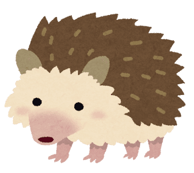 ハリネズミちゃん買ったけど嫌われすぎてﾜﾛﾀ