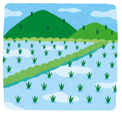 頼みの新米に異変　干上がる田んぼに…枯れ始める苗　コメ農家悲鳴「心折れそう」