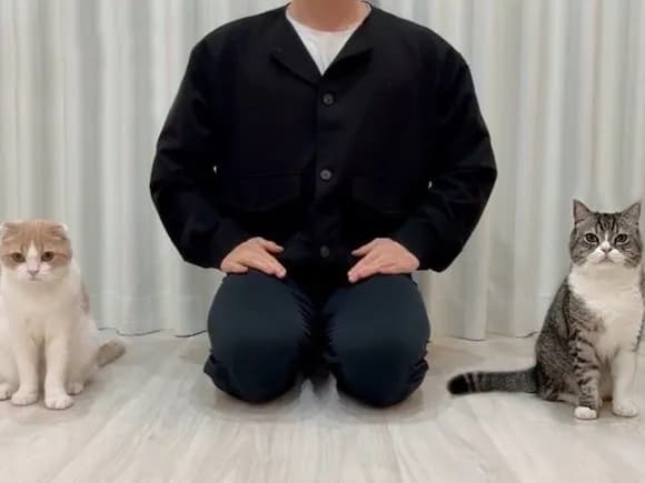 【悲報】もちまる日記さん、活動再開したのに登録者が激減…何が起きた?