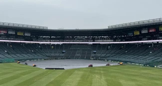 阪神-中日(甲子園)は雨天中止 阪神は村上、中日は高橋宏が先発予定も