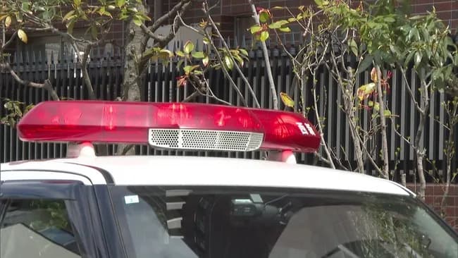 28歳女、タクシー料金請求され「それがどうした」と運転手暴行し逮捕。取り調べに「もういいよどうでも