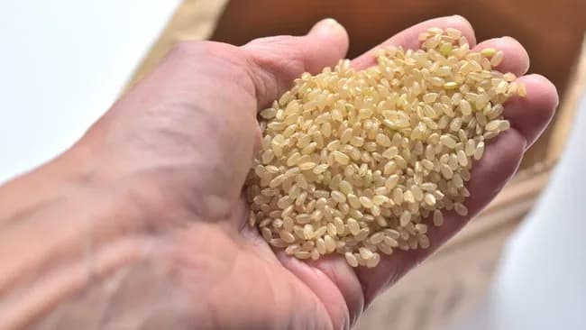 政治家「コココ米は不味くない」玉川徹「コココ米は他との違いがよくわからない」←これ