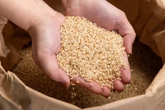 「玄米を買って自分で精米しよう!」←これ